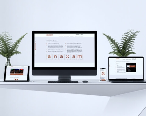 Anaxam_ animated website development - Teaser - Lemberg Solutions